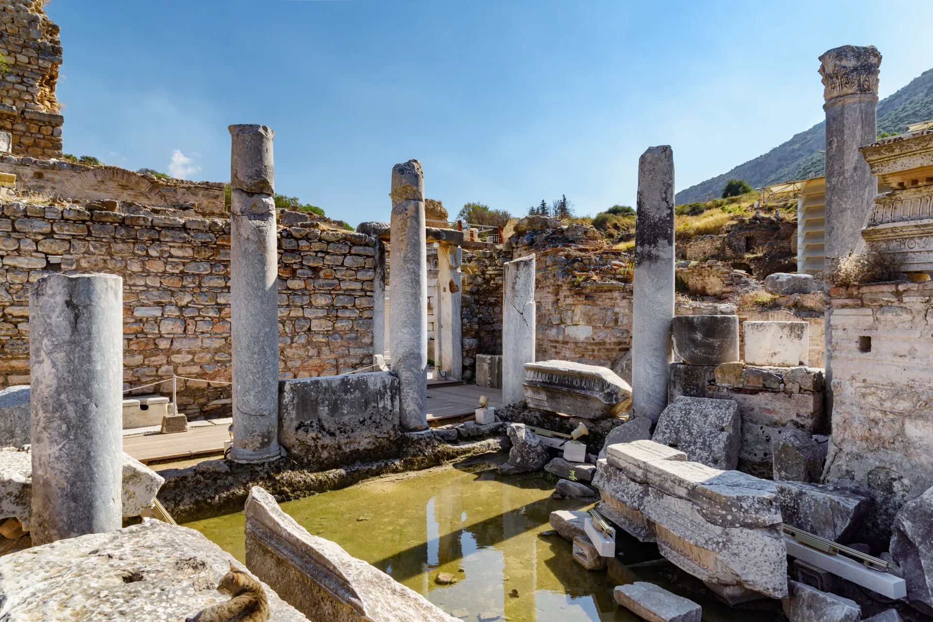 Latrines